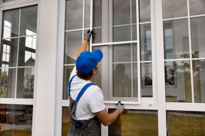 Local Window Installation Experts